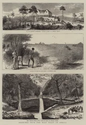 Sketches from the West Coast of Africa